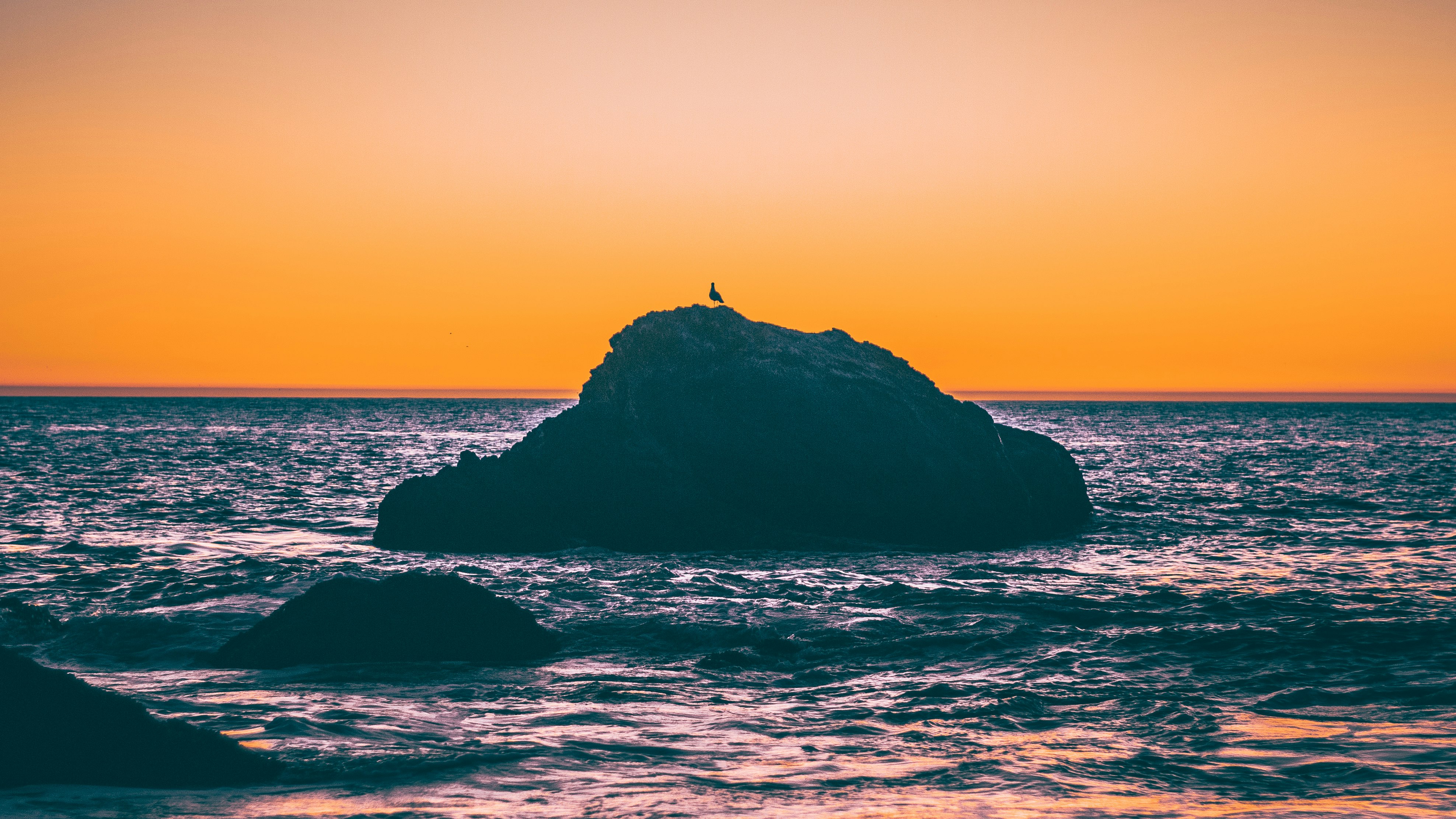 photography of seashore during sunset